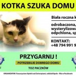toz_9_12_2015