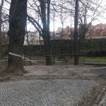 wp-image-1465698647jpg.jpg