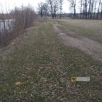 IMG-20190307-WA0002